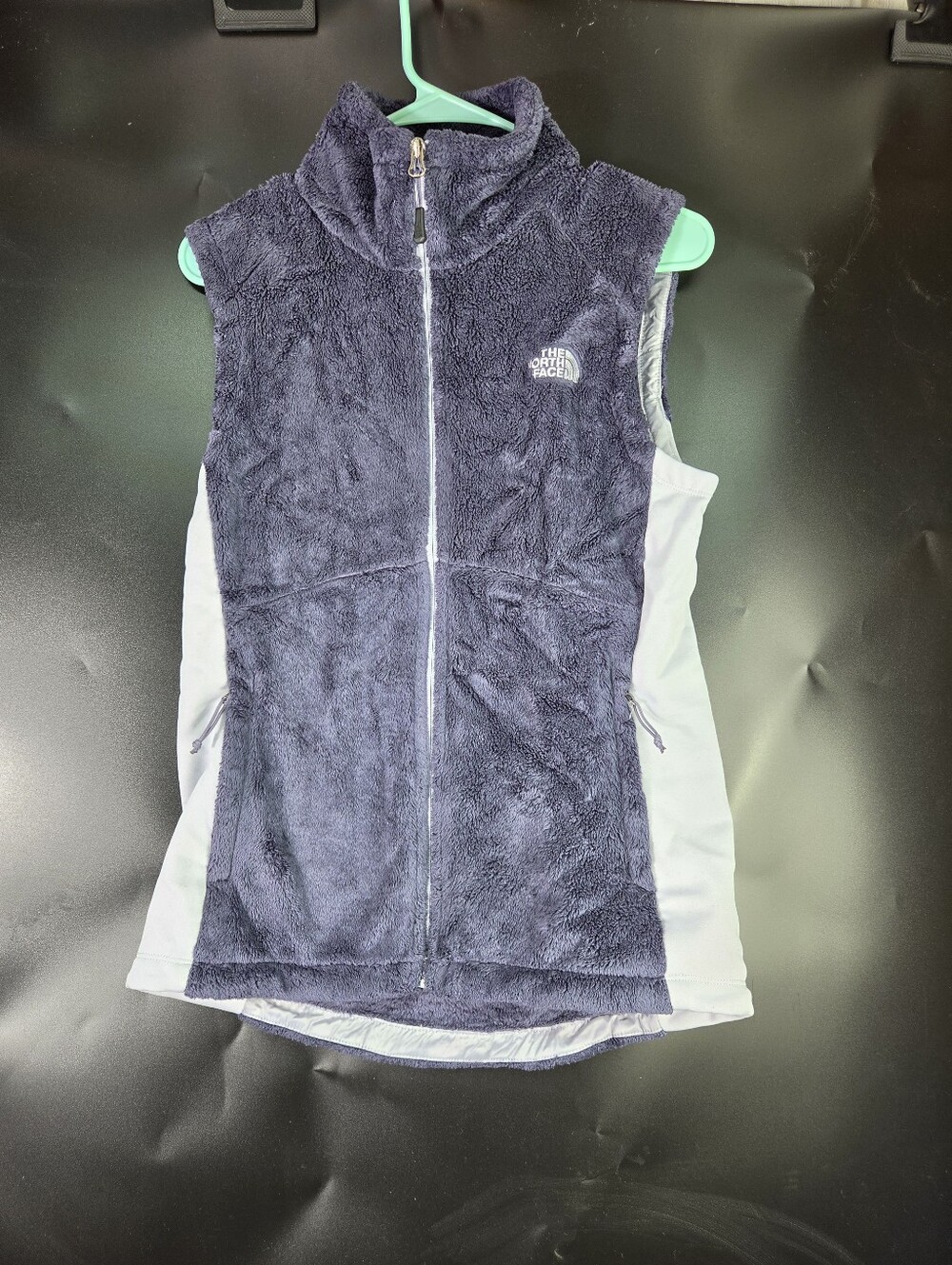 The North Face Vest